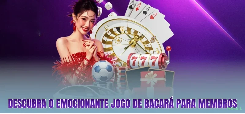 Suporte 982bet